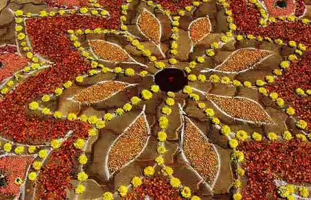 South Indian big single flower rangoli design South Indian big single flower rangoli design