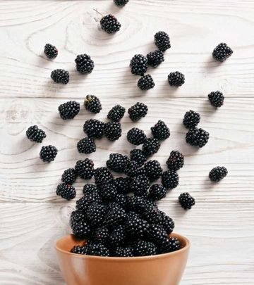 Bonkers Over Blackberries Benefits, Tips, And Trivia