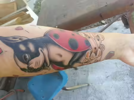 Boston terrier Ladybug Design Tattoo