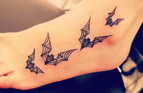 Cobweb bats Cobweb bats
