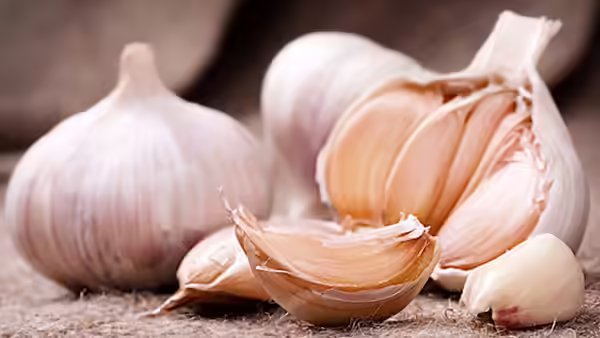 garlic garlic