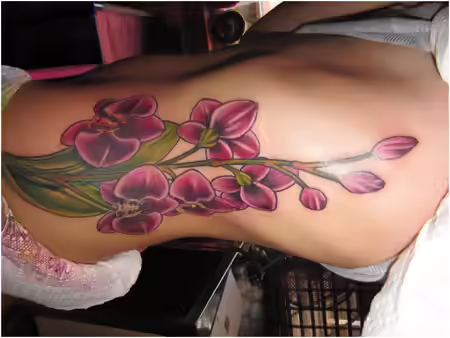Pink and Green Orchid Design Pink and Green Orchid Design