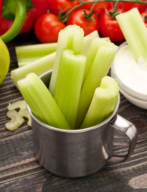 Snacks For Weight Loss - Celery Stalk With Sour Cream