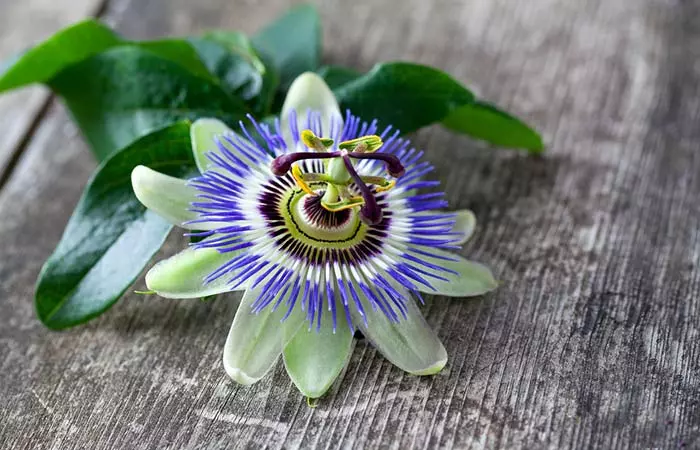 11. Passionflower