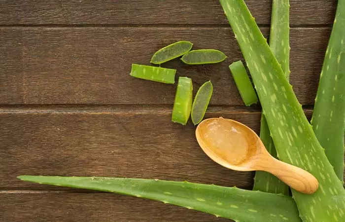 Aloe Vera