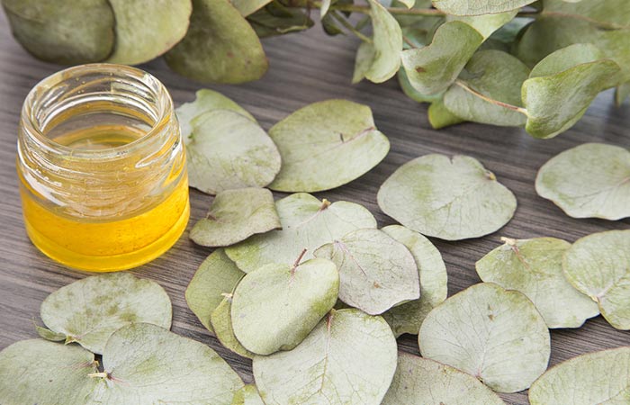 Eucalyptus Oil