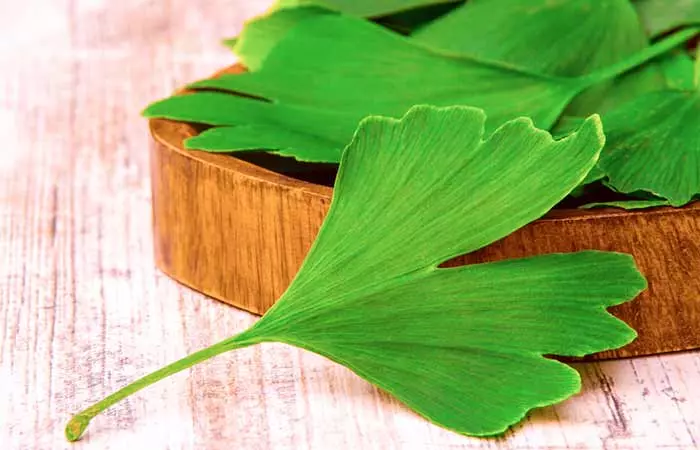 Ginkgo Biloba