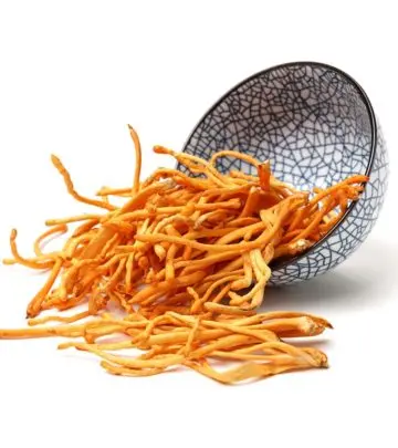 Why Should You Care About Cordyceps? Benefits And Fun Facts_image