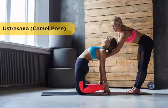 Iyengar Yoga - Ustrasana (Camel Pose) 4.-Ustrasana-(Camel-Pose)