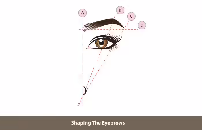 Achieving The Perfect Eyebrow Shape Achieving The Perfect Eyebrow Shape
