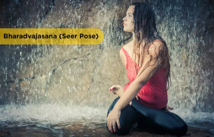 Bharadvajasana-(Seer-Pose)