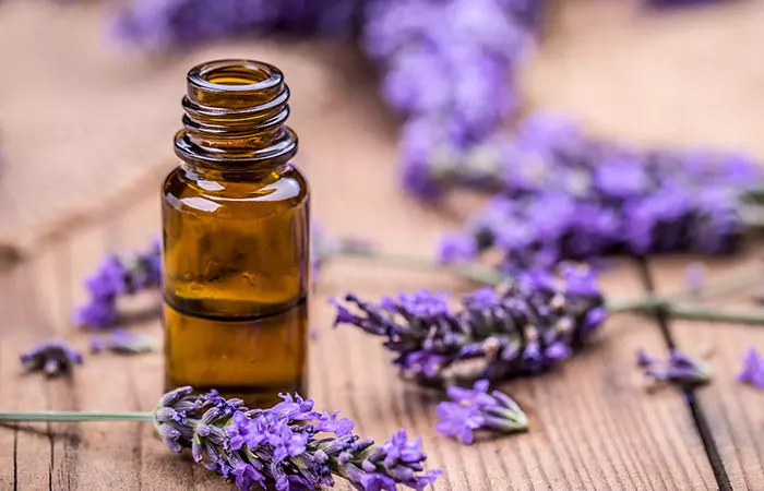 Lavender Oil