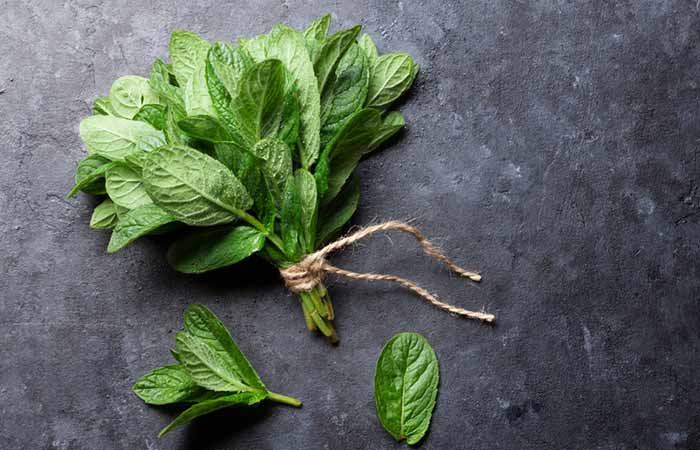 Mint Tuberculosis Treatment - Mint