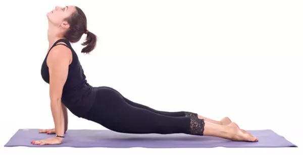 Urdhva Mukha Svanasana