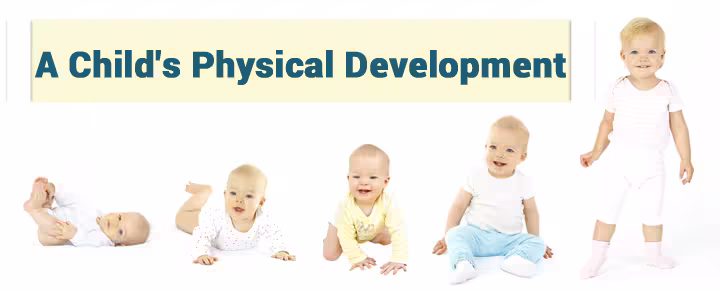 A Child's Physical Development