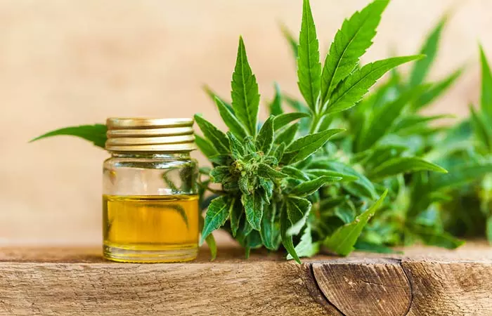 Cannabidiol (CBD) Oil - Epilepsy