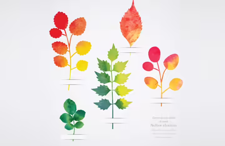 Craft Ideas for Toddlers - Leaf Impressions Leaf Impressions