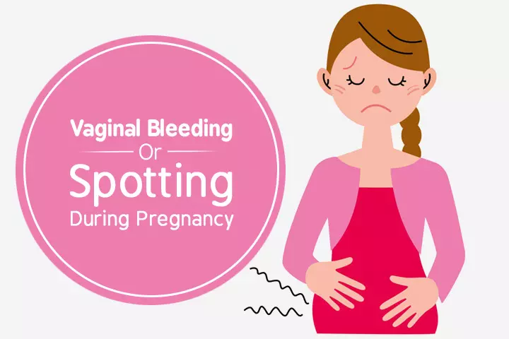 Vaginal Bleeding Or Spotting During Pregnancy