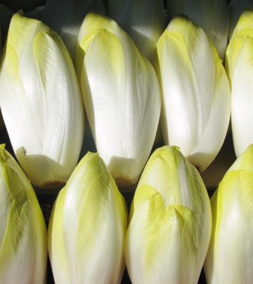 Amazing-Benefits-Of-Endive