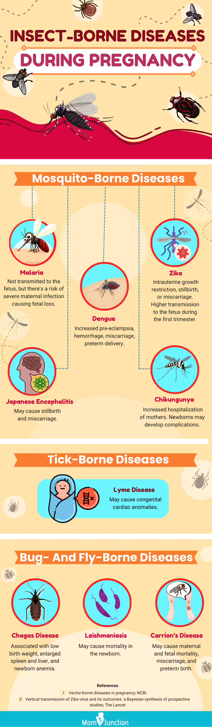 insect borne diseases during pregnancy [infographic]