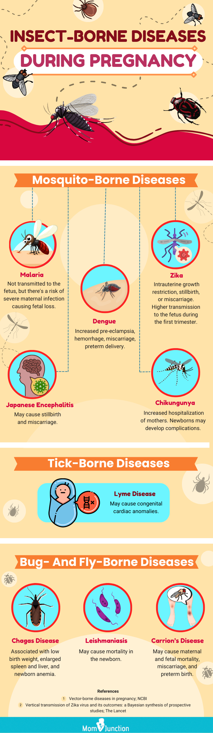 insect borne diseases during pregnancy [infographic]