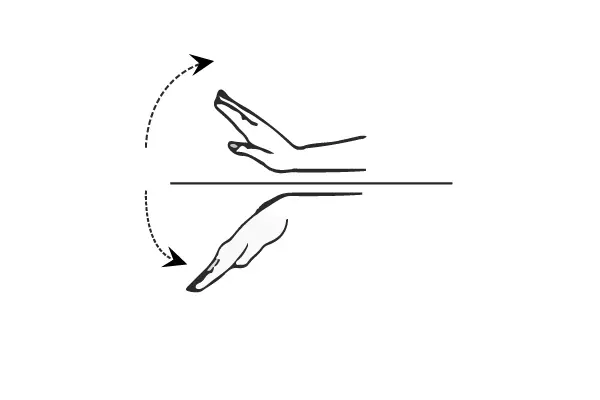 wrist extension and flexion