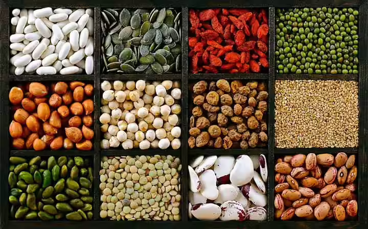 Nutrition During Pregnancy Dried Beans And Lentils dried beans and lentils