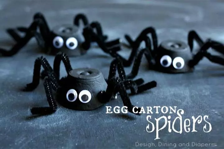 egg carton spider