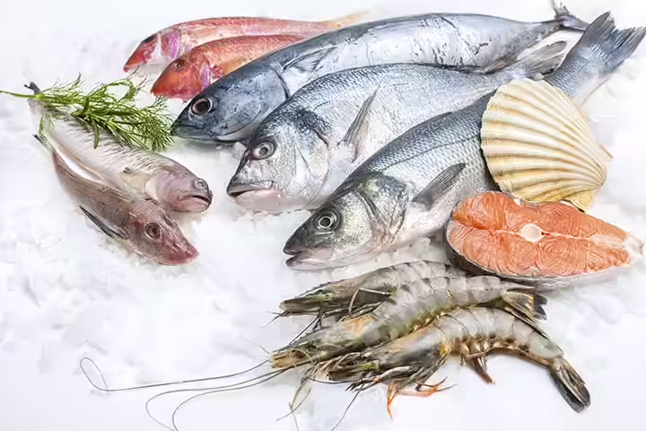 Nutrition During Pregnancy Fish fish