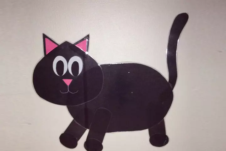 black cat