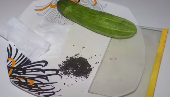 Cucumber Eye Mask - Required Products Diy Refreshing Eye Mask
