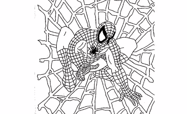 Spidermans Web