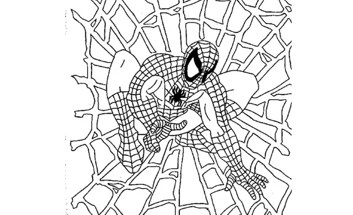 Spidermans Web