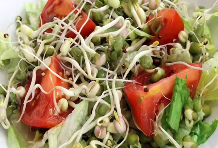 Food Ideas For Toddlers Sprouts Sprouts