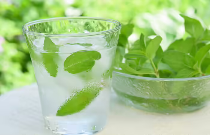 Infused Water Recipes - Refreshing Mint Infused Water Infused Water Recipes - Refreshing Mint Infused Water