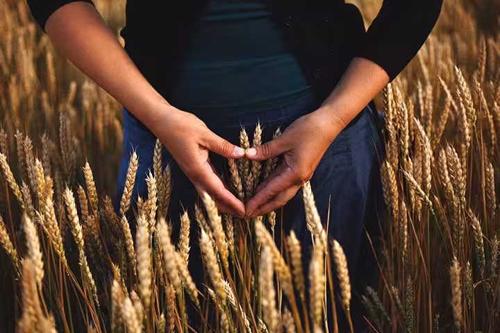 Ayurvedic Treatment For Infertility Are They Effective