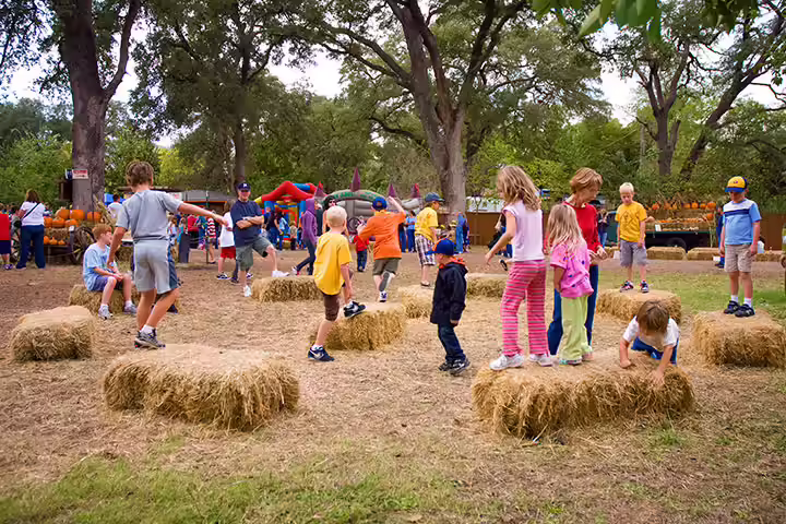 Hay bale obstacle course Hay bale obstacle course
