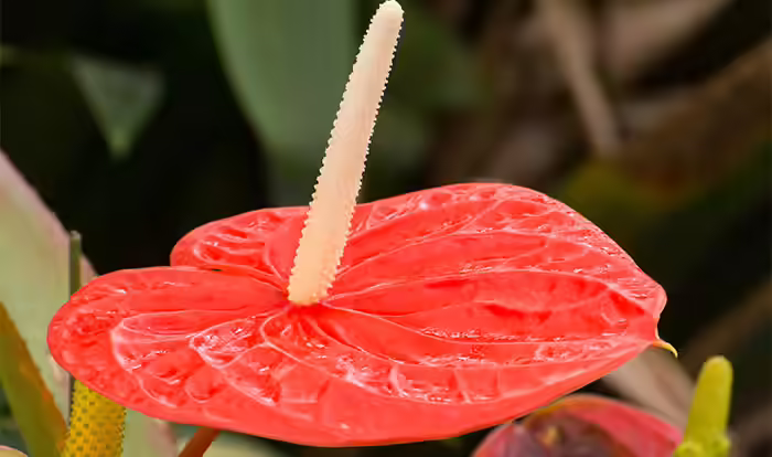 Image: Shutterstock