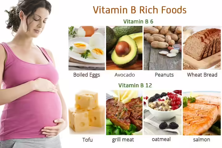 Vitamin B During Pregnancy vitamin b rich foods