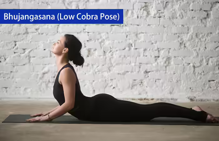 Shanti Yoga - Bhujangasana (Low Cobra Pose) 1. Bhujangasana (Low Cobra Pose)