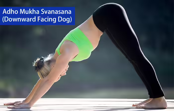 Shanti Yoga - Adho Mukha Svanasana (Downward Facing Dog) 5. Adho Mukha Svanasana (Downward Facing Dog)