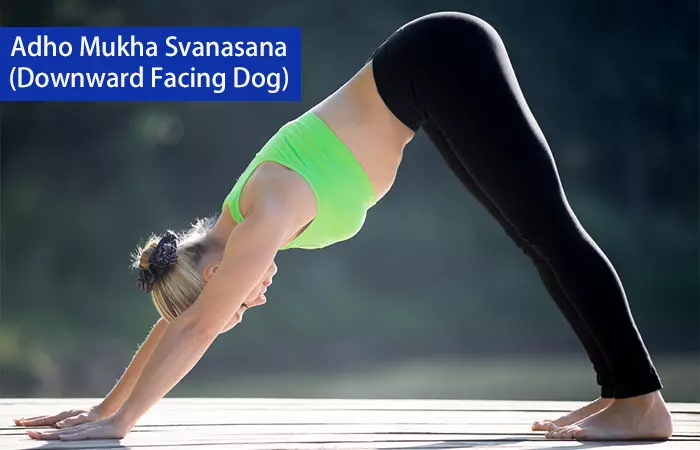 5. Adho Mukha Svanasana (Downward Facing Dog)