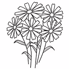 The-flowers The-flowers