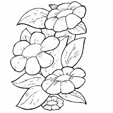 The-springtime-is-for-flowers The-springtime-is-for-flowers