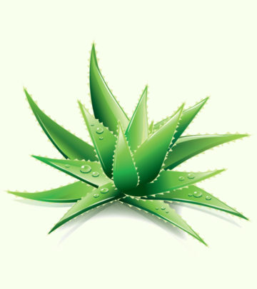 Aloe Vera For Diabetes What You Should Know