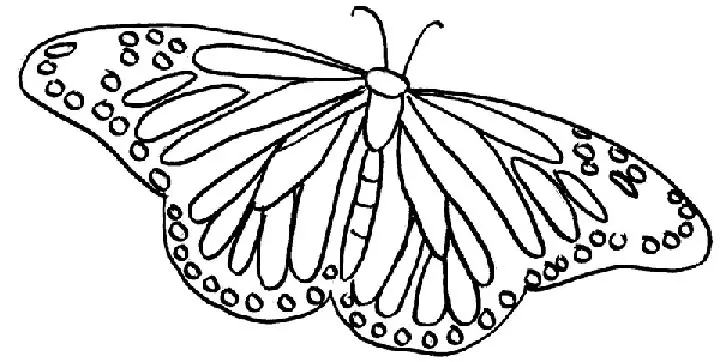 Butterfly Coloring Pages