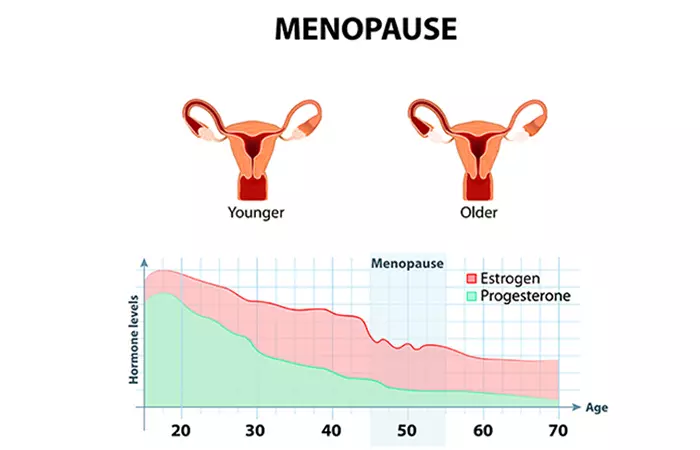 Hormone Therapy