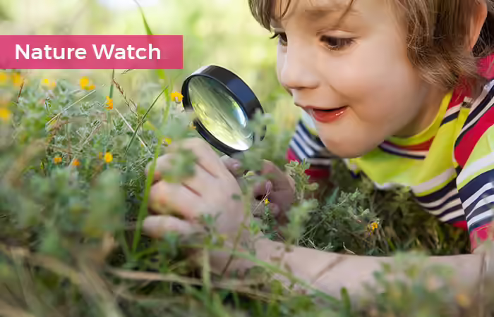 Meditation Techniques For Kids - Nature Watch Nature Watch