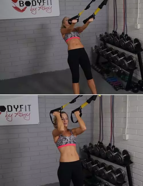 TRX Bicep Curl