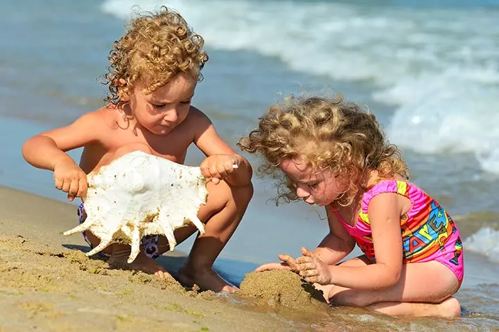 Beach And Sea Shell Hunt